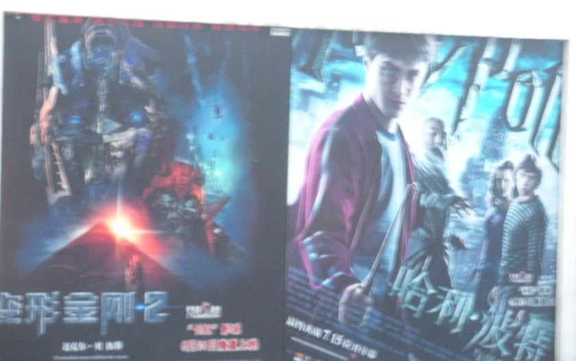 Harry Potter in Chinese