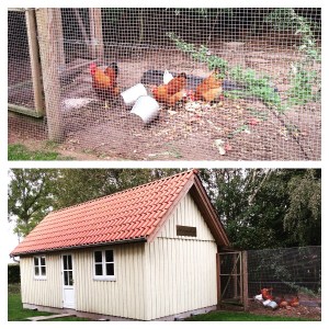 The Hen House - bigger than the average one bed London flat