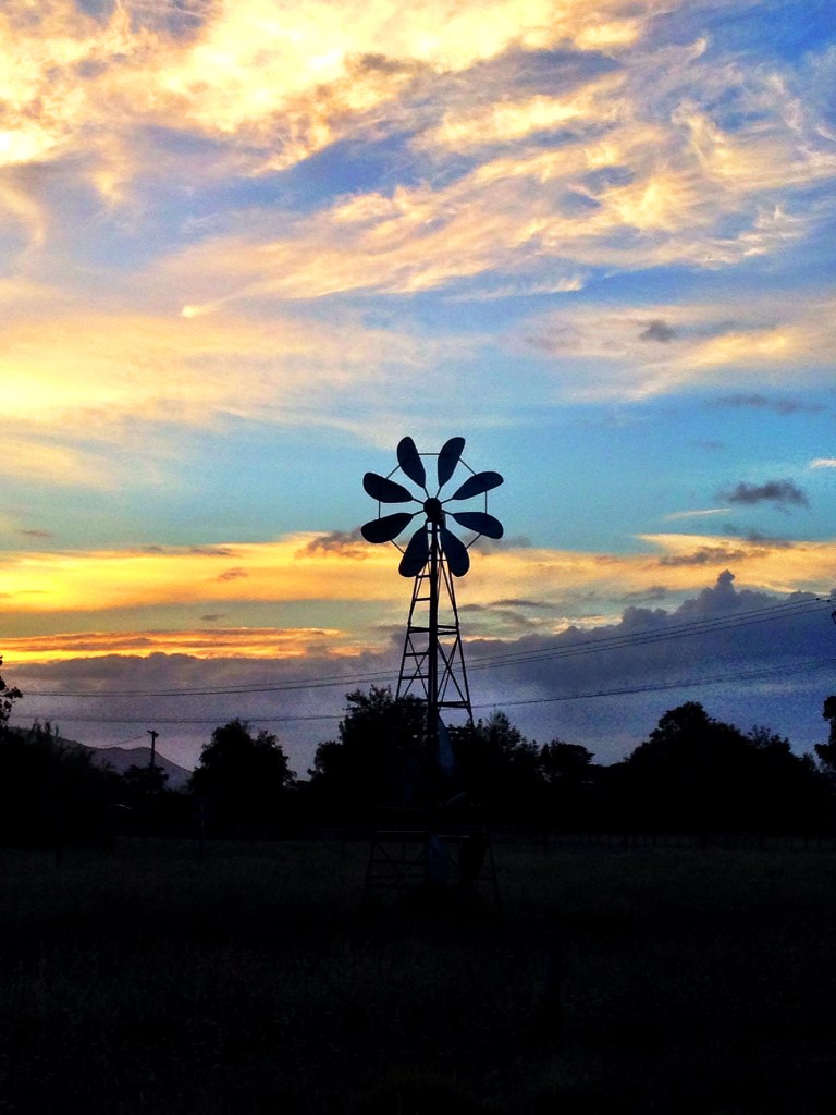 A view from the Mussel Kitchen