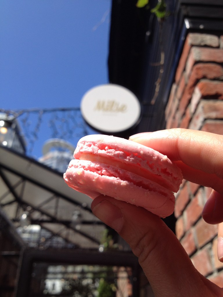 A macaron...for the journey