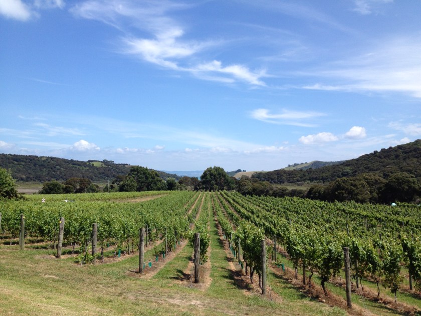 The Passage Rock vineyard