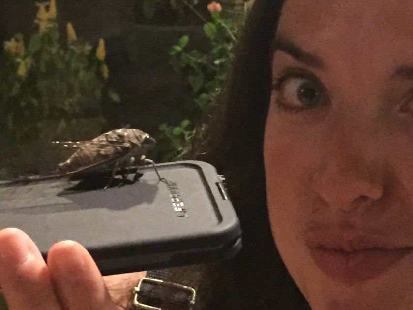 He really had a thing for my iPhone!