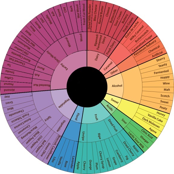 Chocolate Flavour Wheel